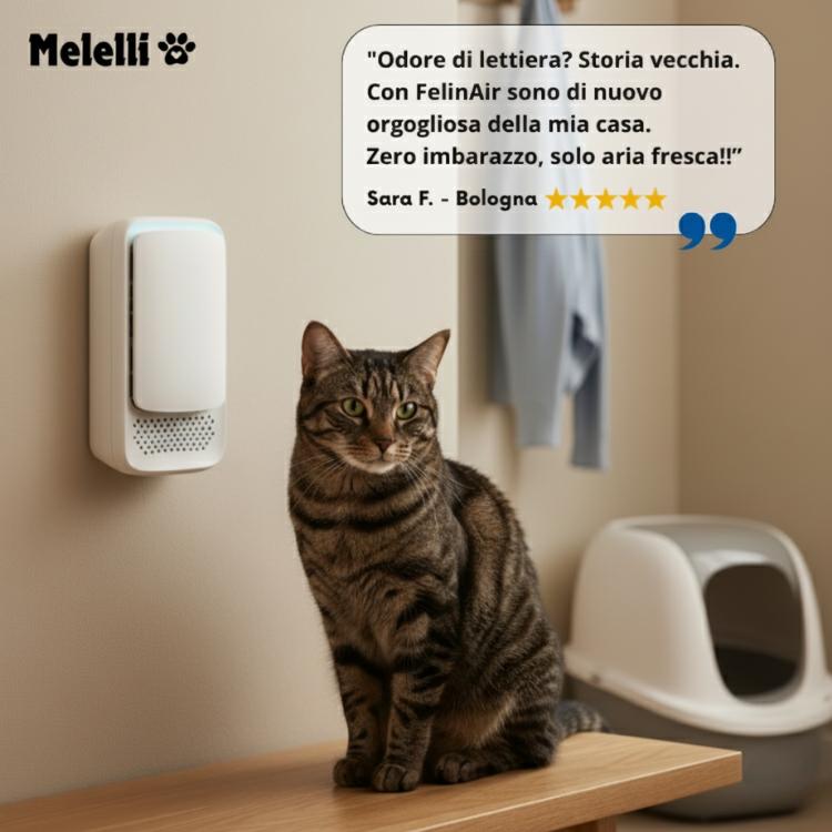 FelinAir™