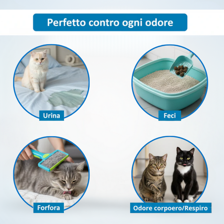 FelinAir™