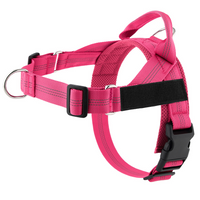 Fucsia
