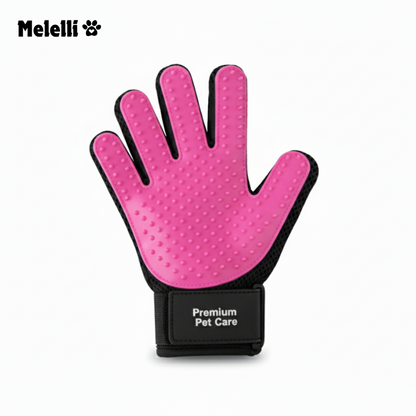 FelinGloves™ Guanti-Spazzola (2x)