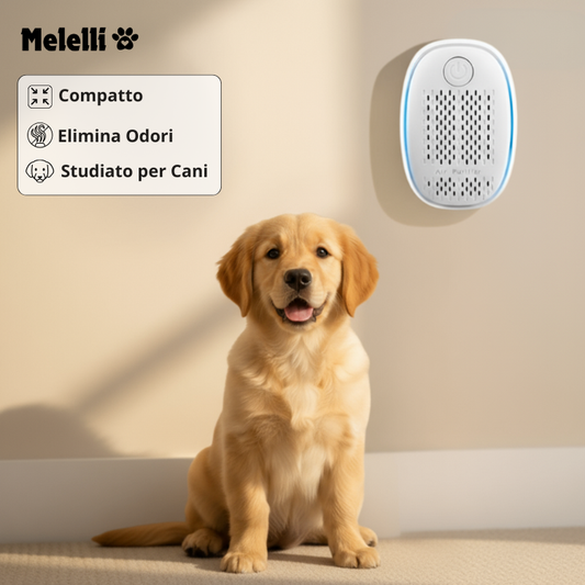 DogAir™