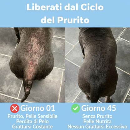 Bocconcini Antiprurito & Difese Immunitarie